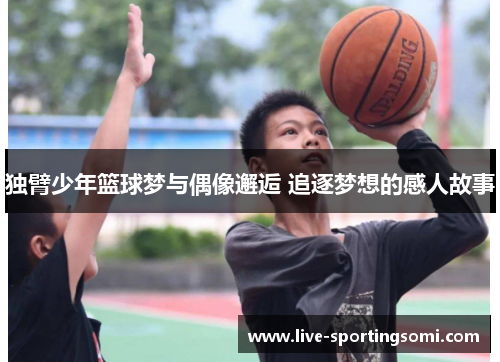 独臂少年篮球梦与偶像邂逅 追逐梦想的感人故事